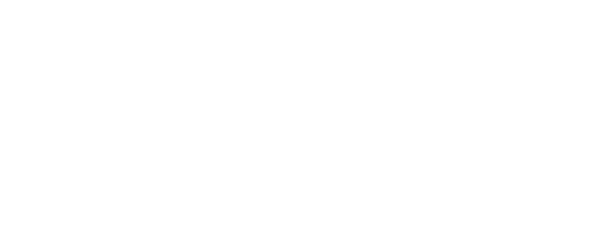 The Opera Company Logo